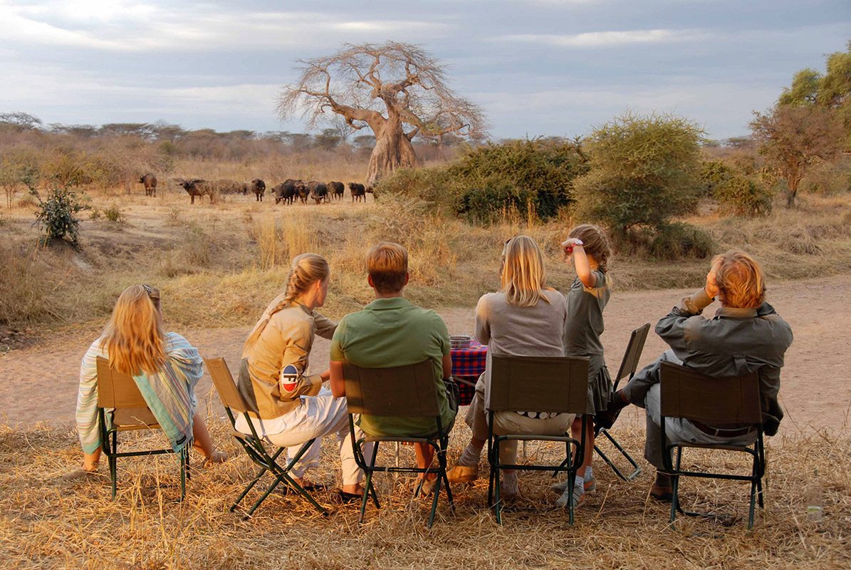 Family Safaris In Tanzania