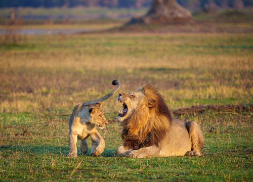 12 Best Places to Visit in Tanzania