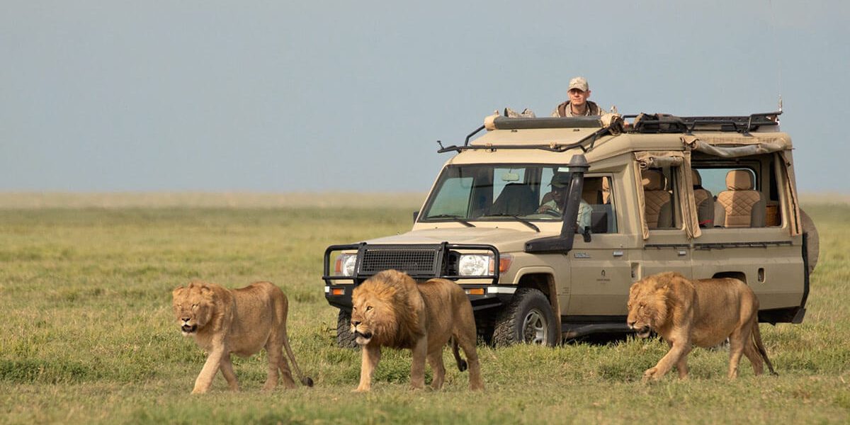 Tanzania Serengeti Safari