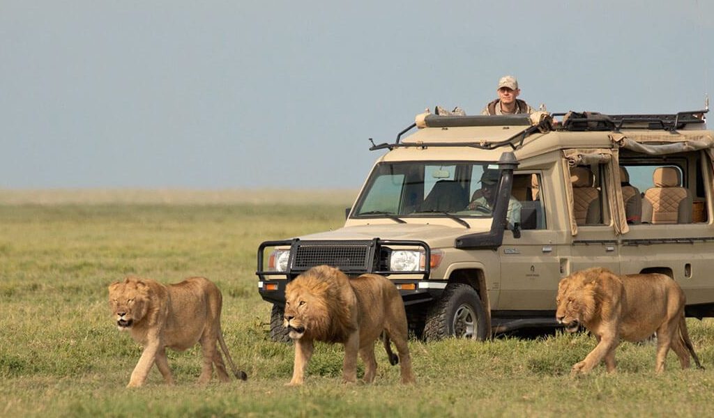 Tanzania Serengeti Safari